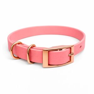 Small Collar - Coral Crush