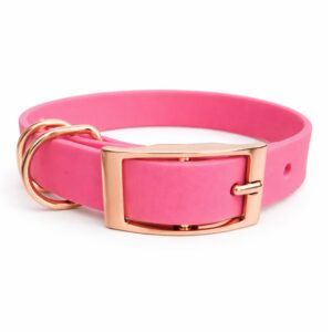 Medium Collar - Electric Pink
