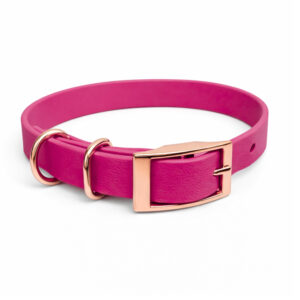 Small Collar - Cerise