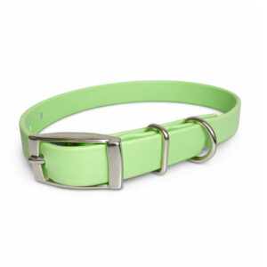 Small Collar - Lime Crush