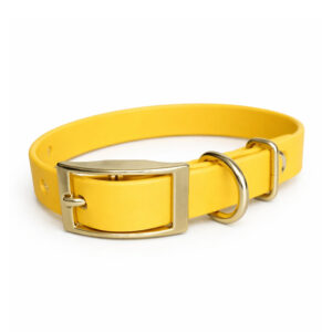 Small Collars