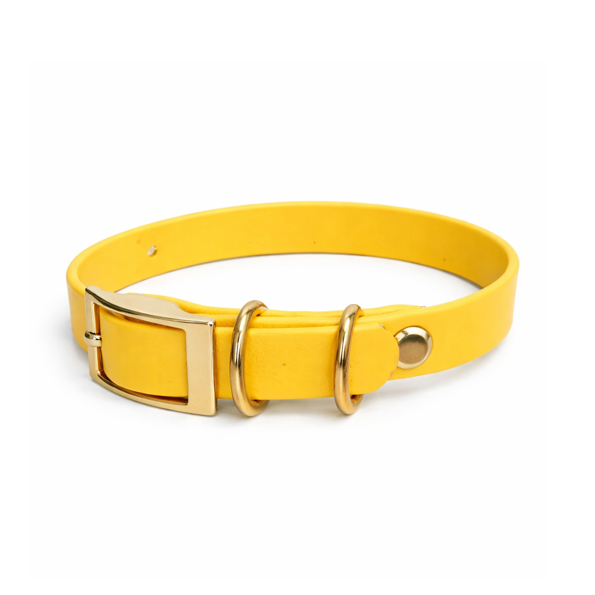Cat/Extra Small Dog Collar - Pineapple Crush