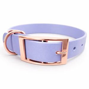 Large Collars