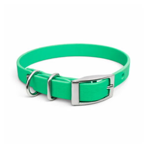 Cat and Exta Small Dog Collars