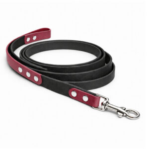 Leash – Blackberry with Hibiscus