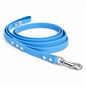 Leash - Azure Blue