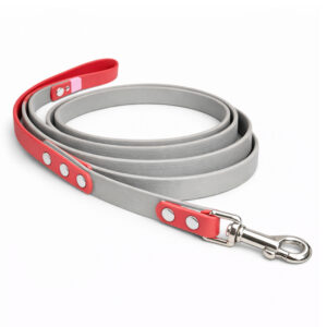 Standard Leashes
